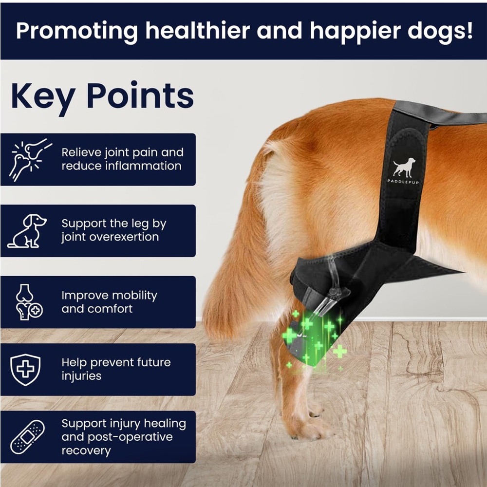 Paddle Pup Dog Knee Brace Reflective Strips for Torn ACL Knee& Ankle Pain Sz Lg